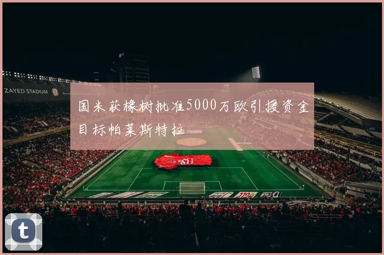 国米获橡树批准5000万欧引援资金目标帕莱斯特拉